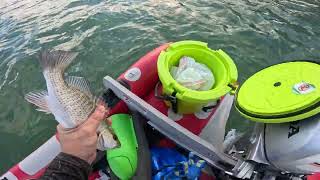Best way to Catch DINNER Fishing Docks and Bridges in Big Pine Key, Florida Keys