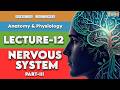 Nervous System Part 3 | Brain, Meninges, CSF & Circle of Willis | Nursing Lecture 12 | OSNS | NORCET