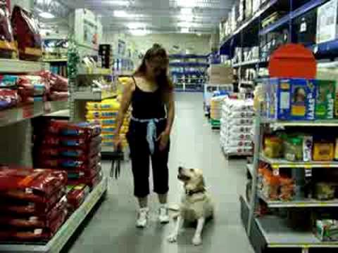 bailey-goes-to-petsmart-off-leash-with-her-e-collar/pager