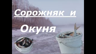 Сорожняк и Окуня