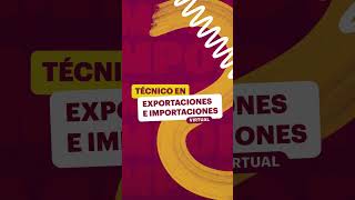 Técnico en Exportaciones e Importaciones