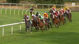 Vidéo de la course PMU PRIX MANGALIE D'ALBRET - WATHBA STALLIONS CUP