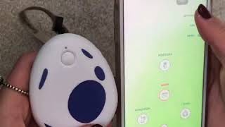 pocket egg　ポケモンを自動捕獲/補足可能 20メール範囲通信サポート 大容量電池三ヶ月間使用可能