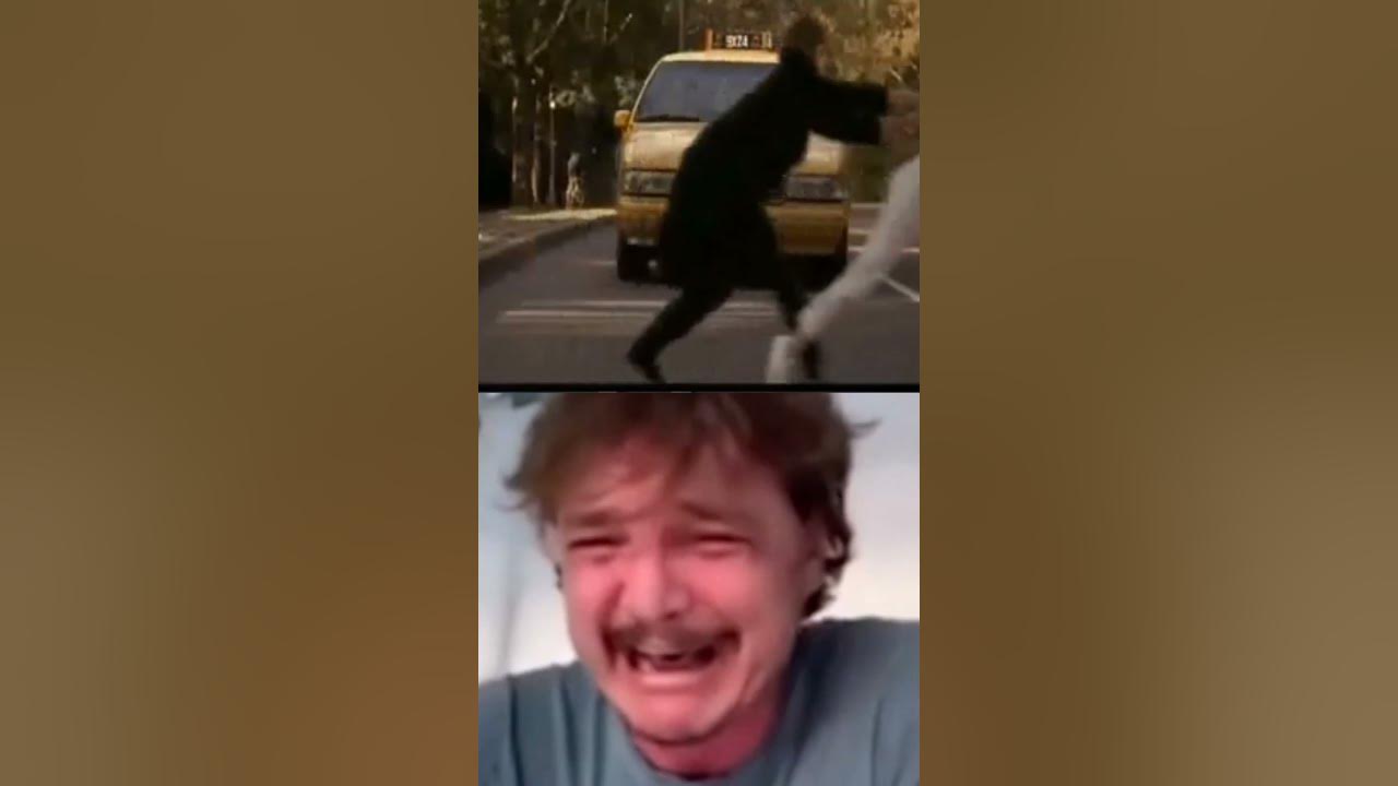 pedro pascal crying Cruel Intentions space song YouTube