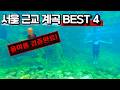 가평 명지계곡 수심 2m이상🤿스노클링 명당 4곳 정리