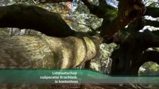 Krachteik Promotievideo