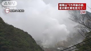 蒸気きょうも勢いよく噴出　大涌谷　警戒から1カ月(15/06/05)