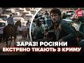 😳Все! Криму ПОВНИЙ ГАПЛИК. Росіяни ВИЗНАЮТЬ КАТАСТРОФУ і КРАХ РФ. Великий ПРОВАЛ Путіна