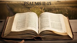 PSALMS 11-15