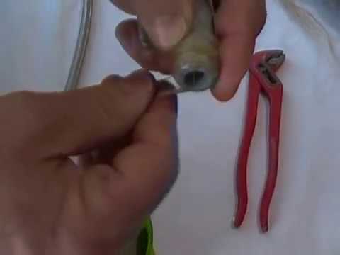Video: Come si usa una chiave per rubinetti?