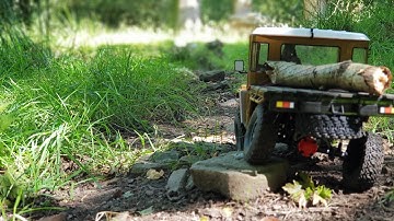 Firewood HAUL! WPL C44KM