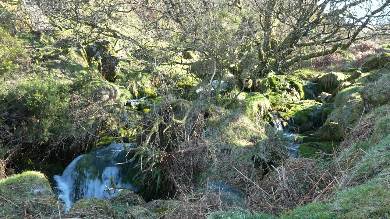 Hidden Dartmoor Stream Cuckoo Rock 4K