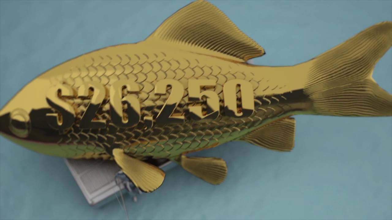 Russian Jeunesse Global, Linear -vs- Multilayered Income (More Info inside Description Area)