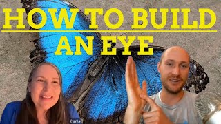 CLIP: How evolution creates eyes