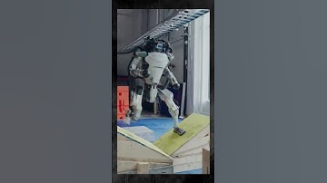 The atlas robot is insane!