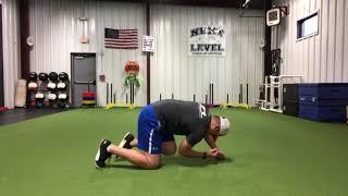 Reverse Bird Dog