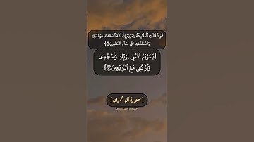 سورة آل عمران الآية ٤٢ الى ٤٤ بصوت الشيخ محمد صديق المنشاوي