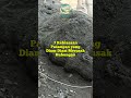 7 Kebiasaan Pasangan yang Diam-Diam Merusak Hubungan #islami