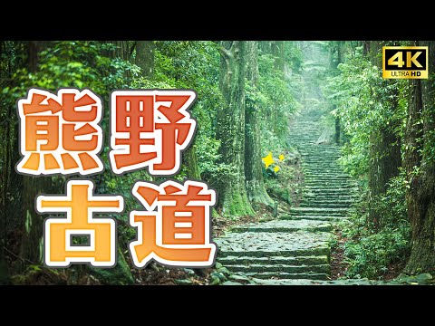 和歌山世界遺產自然之旅⛩️熊野古道、熊野和牛燒肉、熊野速玉大社、神倉神社、瀞峽遊船｜和歌山新宮市自由行・日本旅遊4K VLOG