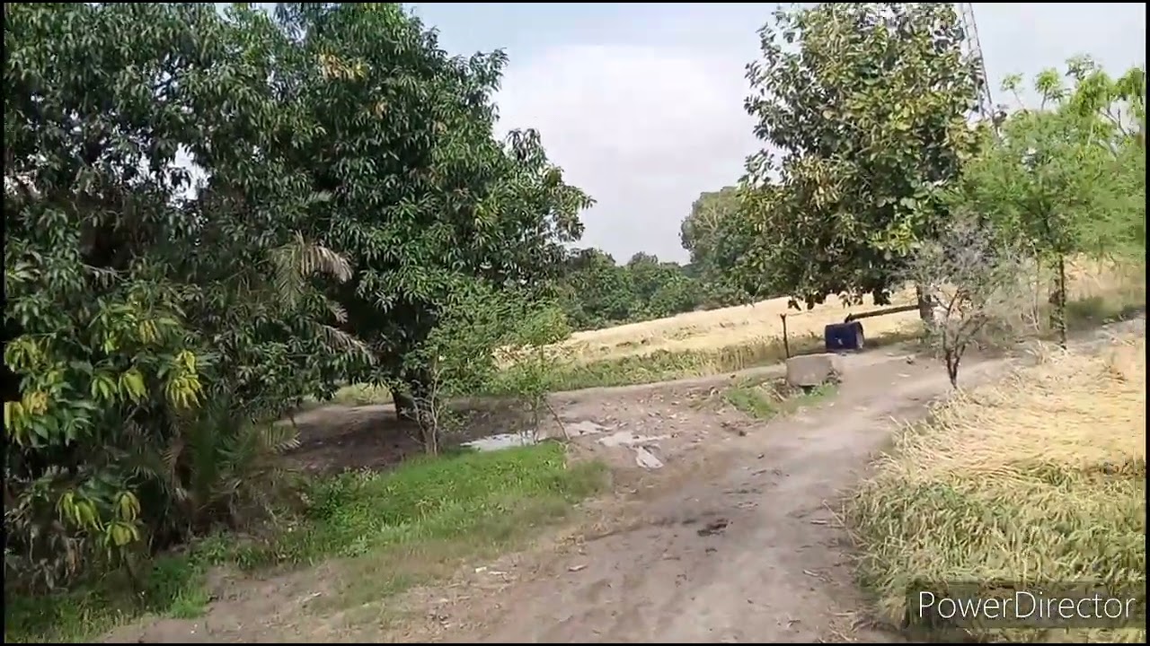 My 7th Vlog | Visit to my Village | Village Vlogs | Vlogging | Vlogs | Sasty Vlogzs