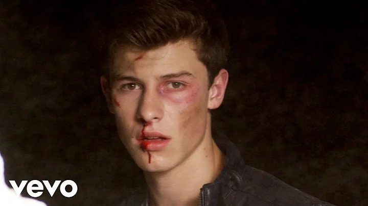 Shawn Mendes - Stitches (Official Music Video) - DayDayNews