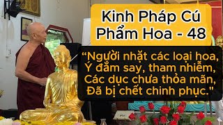 Kinh Pháp Cú - Phẩm Hoa - 48 | Sư Pháp Thông | Thiền viện Viên Không