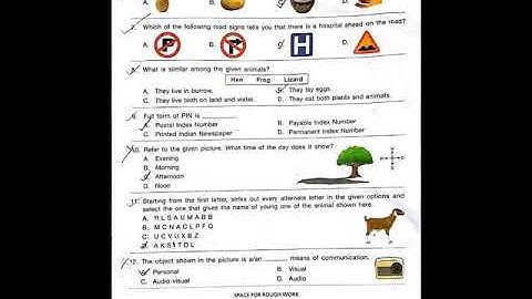 SOF NSO Exam Paper 2019-20 - Class 2 - Set A (with answer key)