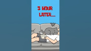 Just Procrastinating... but Don’t Feel Bad 😹🐾#cat #funny #procrastination #assignment #study #nap