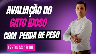 Avaliação do gato idoso com perda de peso