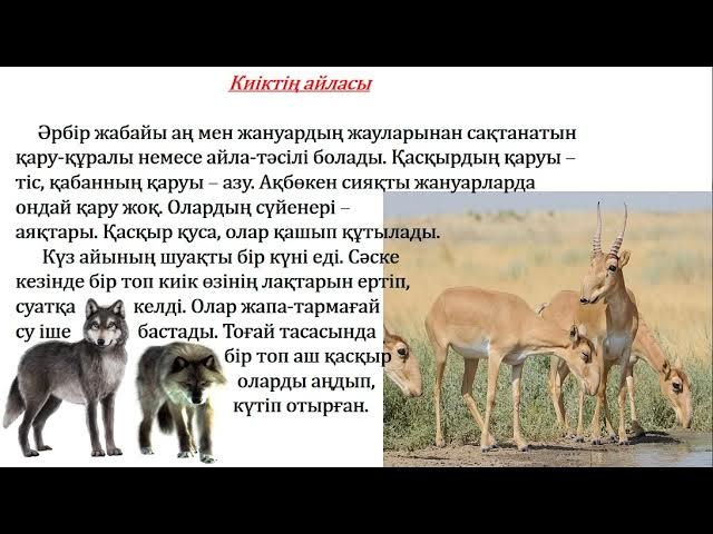 Лесби порно көру