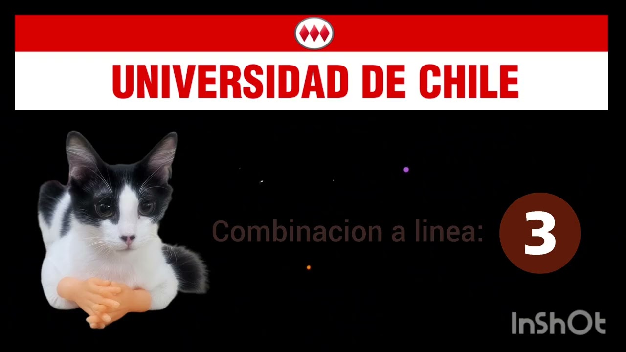 viaje completo en la linea 1 del metro de santiago en camara rápida desde san pablo a los dominicos