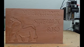 SilverBack 6060 First Carve