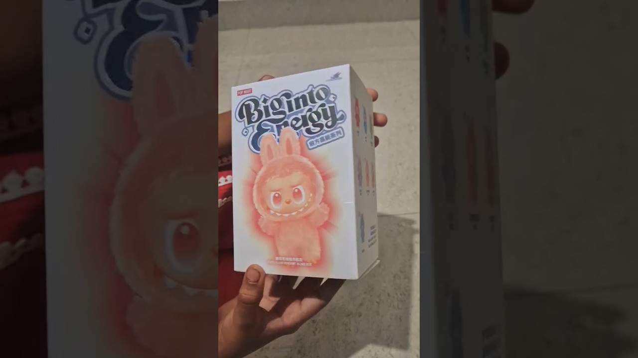 Labubu Doll..!! Which one did I get..???