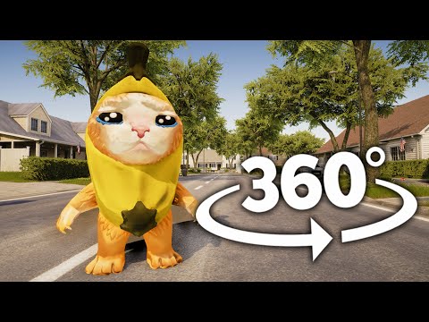 Banana Cat 360° Hunts You In Vr360° Experience