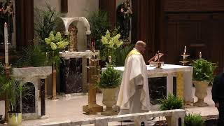 St. Matthew Mass Livestream