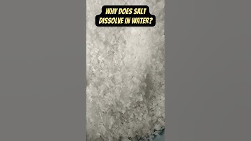 Why does SALT dissolve in water?