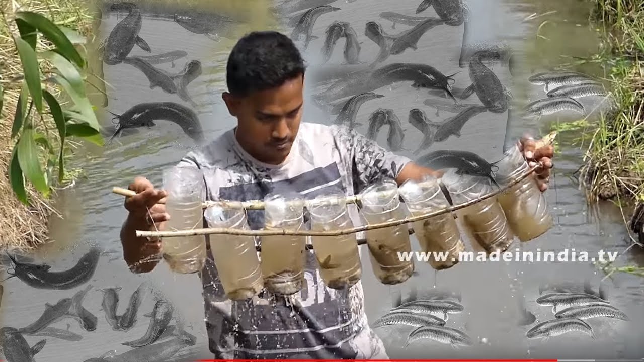 Believe This Fishing | Unique Fish Trapping Method | New Technique Of Catching Country Fish | STREET FOOD