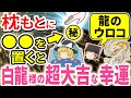 【龍のウロコ＋奇跡の宝水】枕もとに〇〇を置くだけで、金運、財運、健康運、全運気が爆上がり。白龍様、弁財天様、龍神様、白蛇様とつながるコレを枕元に絶対置いて【ゆっくり解説】