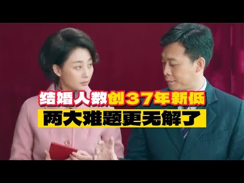 结婚人数创37年新低！原因有4个，姚晨北上才知道了直击人心的核心原因 #十三邀 #许知远#罗翔#王石