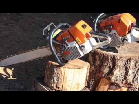 boss tree service maintainance boss dawg tree service youtube boss tree service maintainance boss dawg tree service youtube