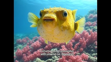 Circumventing censorship with unwind on OpenBSD