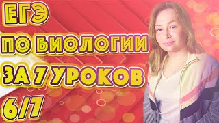 ЕГЭ биология 2019 за 7 уроков. 6/7 (анатомия)