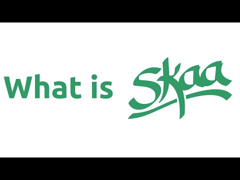 What is SKAA? SKAA Wireless Technology