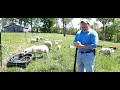 Rotational Grazing on Small Acreages - Layout and Design