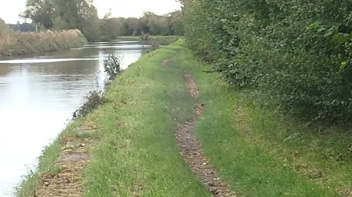 The Crazy Stoat Dance...