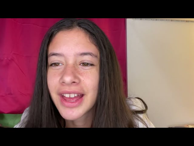 ASMR Personal attention (makeup, plucking, etc.) (Brianna custom)