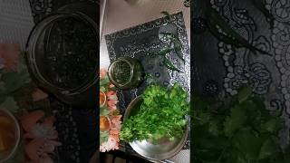 Συνταγή Green Chutney