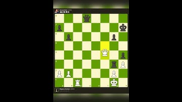 FIDE World Chess Olympiad 2022 #magnuscarlsen  vs georg meier