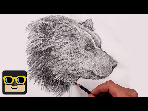 How To Draw a Bear | Sketch Tutorial