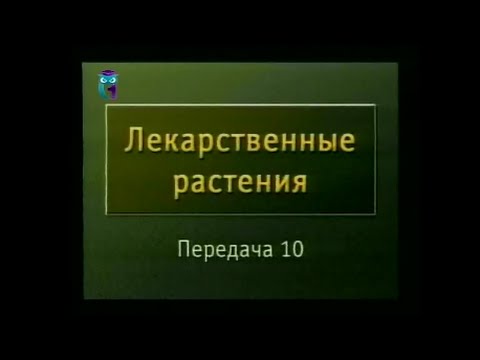 Видео: Вся ли масса съеденной травы объясняется ростом и отходами травоядного А?